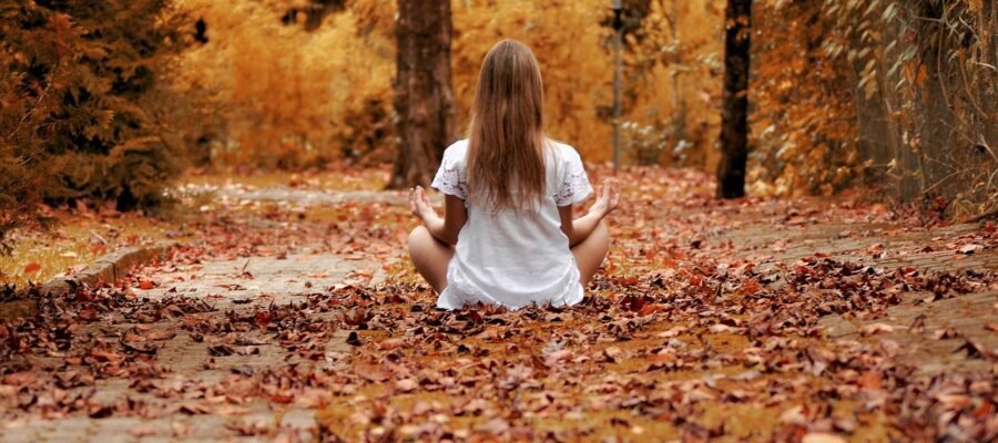 Yoga Pamplona, yoga padmasana